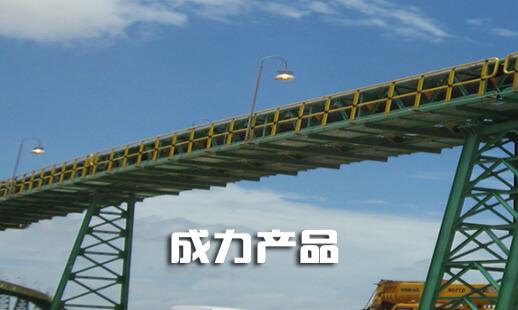 深圳罗湖区成力科技贸易有限公司