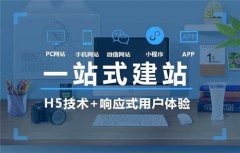 深圳罗湖区企业网站开发是怎样的